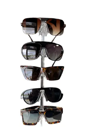 Trendy Sunnies