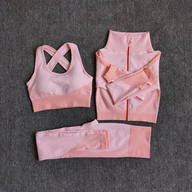 Women Seamless Quick Dry Yoga Sets