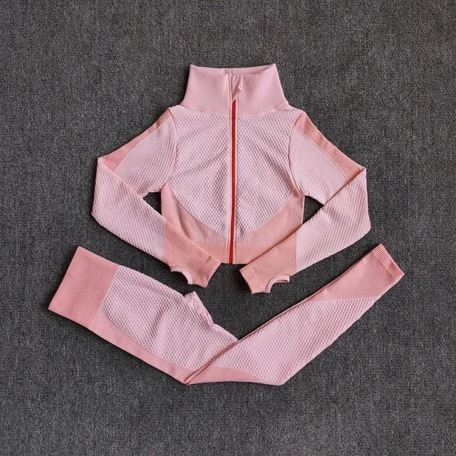 Women Seamless Quick Dry Yoga Sets